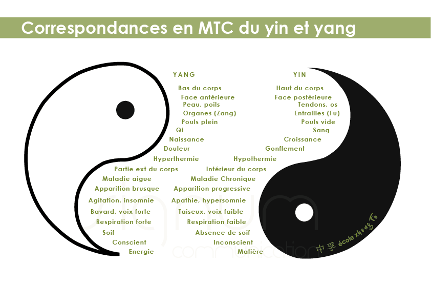 Correspondances en MTC du Ying et du Yang 