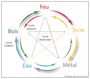 Les 5 éléments dans la médecine chinoise