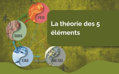 La théorie des 5 éléments en médecine chinoise : principes et applications avec la Méthode Zhong Fu