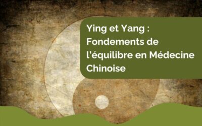 Yin et Yang : Fondements de l’équilibre en Médecine Chinoise